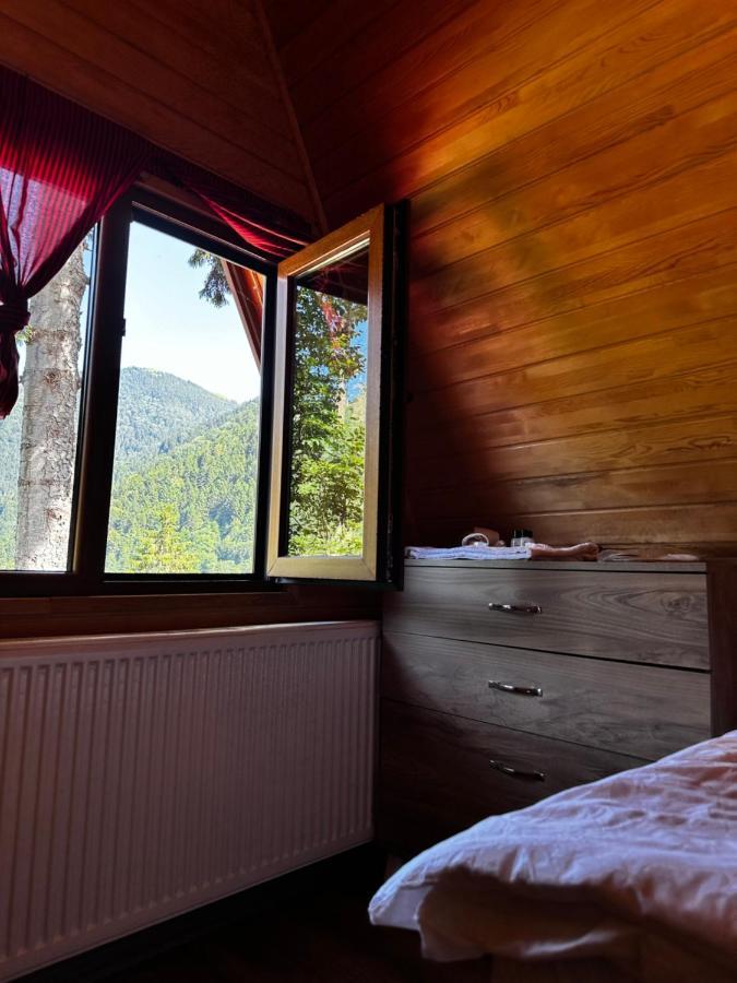 Maneviga Cafe & Apart Aparthotel Uzungöl Buitenkant foto